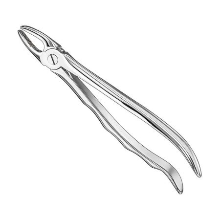 Extracting Forceps Anatomically Shaped Handle Haftprofil/ AI-01-3001