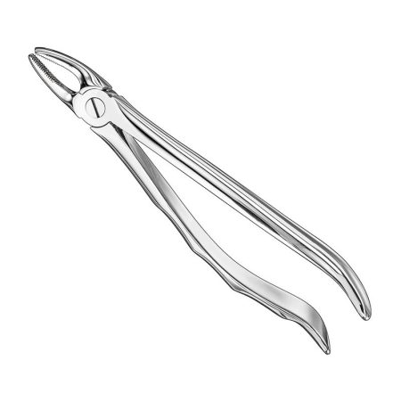 Extracting Forceps Anatomically Shaped Handle Haftprofil/ AI-01-3002