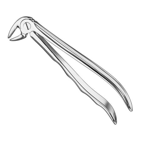 Extracting Forceps Anatomically Shaped Handle Haftprofil/ AI-01-3004