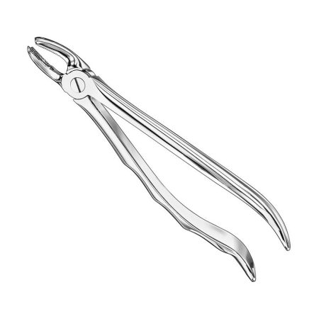 Extracting Forceps Anatomically Shaped Handle Haftprofil/ AI-01-3005