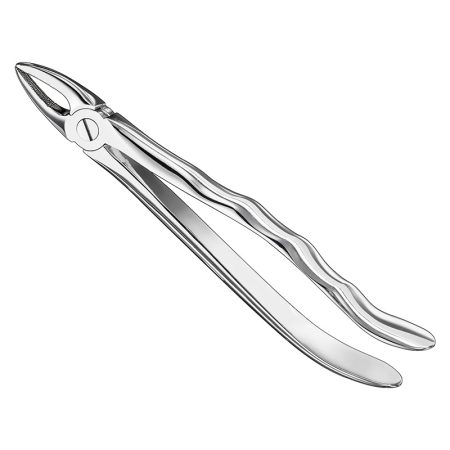 Extracting Forceps Anatomically Shaped Handle Haftprofil/ AI-01-3006