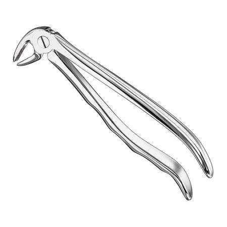 Extracting Forceps Anatomically Shaped Handle Standard/ AI-01-4001