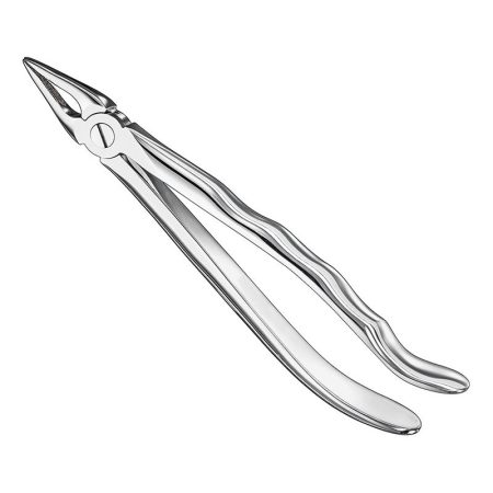 Extracting Forceps Anatomically Shaped Handle Standard/ AI-01-4005