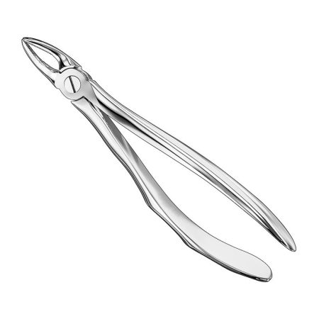 Extracting Forceps Anatomically Shaped Handle Standard/ AI-01-4006