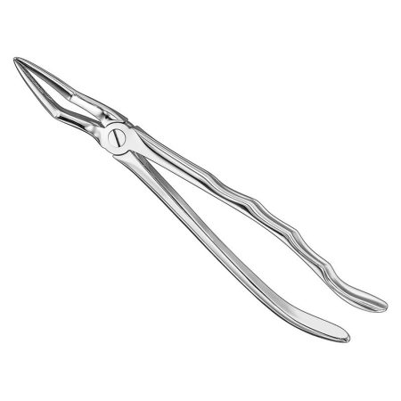 Extracting Forceps Anatomically Shaped Handle Standard/ AI-01-4007