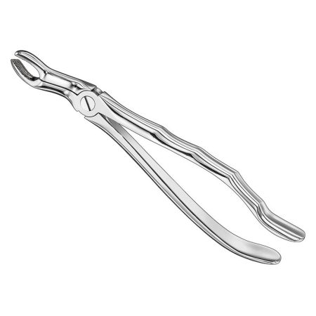 Extracting Forceps Anatomically Shaped Handle Standard/ AI-01-4008
