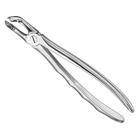 Extracting Forceps Anatomically Shaped Handle Standard/ AI-01-4013