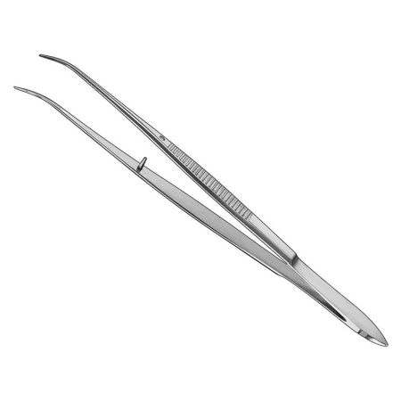 Cotton Forceps/ AI-1606