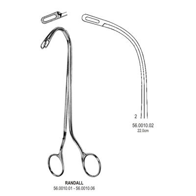 Gall Bladder-AI-195